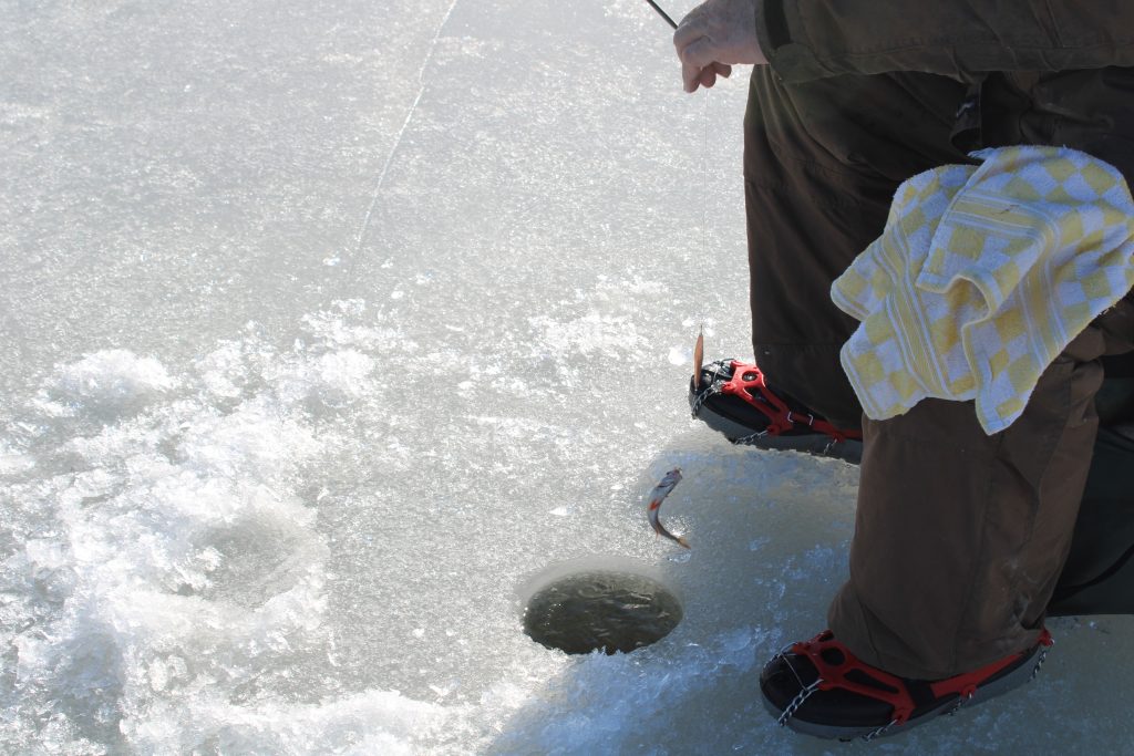 Pilkkireikä josta nousee kala
